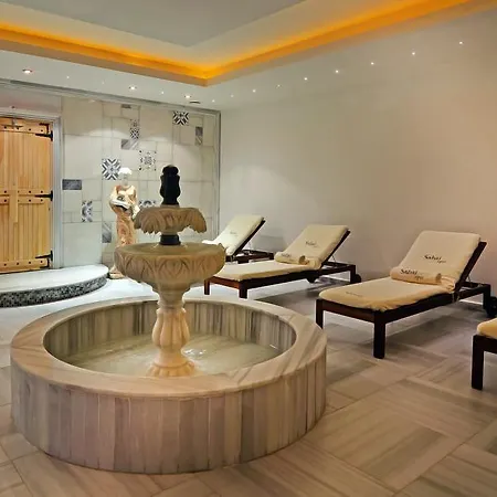 ホテル Palm Wings Resort&spa クシャダス